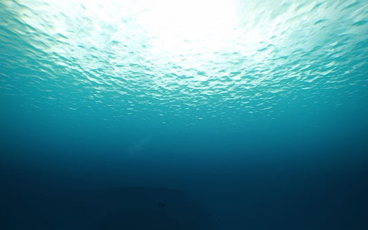 Sea of Themes: 13 of the best aquatic video game tracks